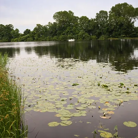 בית נופש - Eiderlodge 2