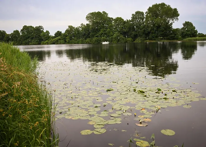 Vakantiehuis - Eiderlodge 2